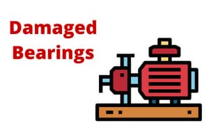 Damaged-Pump-Bearings