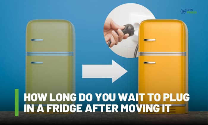how long do you wait to plug in a fridge after moving it
