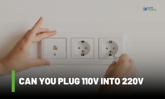 can you plug 110v into 220v