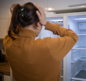 fridge-for-unheated-garage