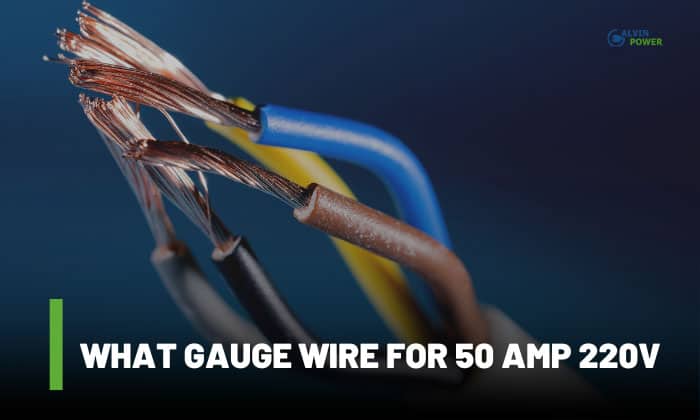 what gauge wire for 50 amp 220v